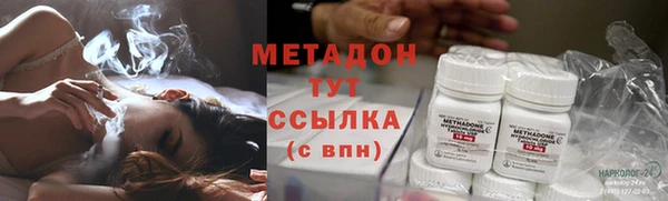 хмурый Аркадак