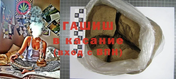 хмурый Аркадак
