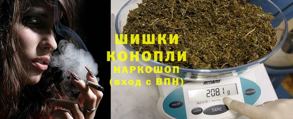 хмурый Аркадак