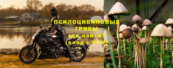 кокс Арсеньев