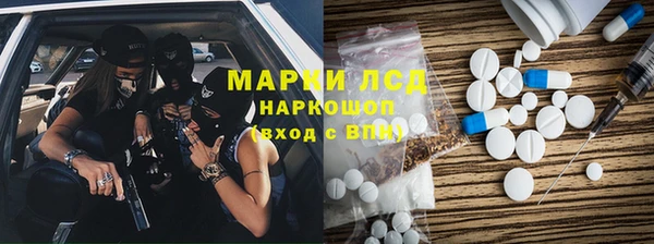 хмурый Аркадак