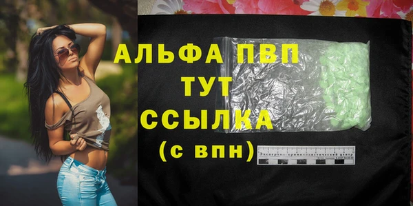 хмурый Аркадак