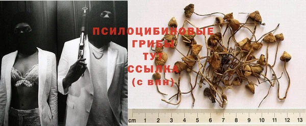 прущая мука Армянск