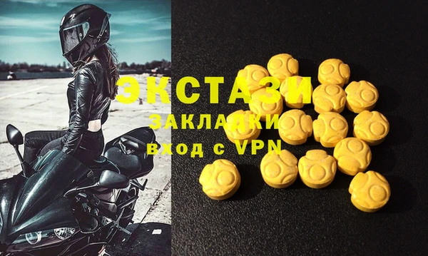 хмурый Аркадак