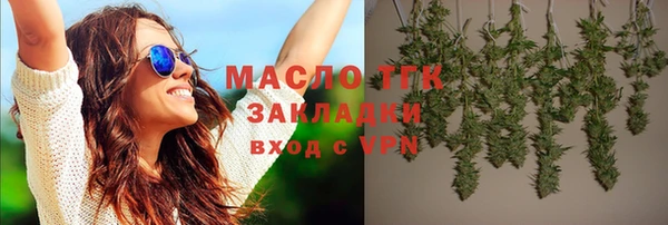 хмурый Аркадак