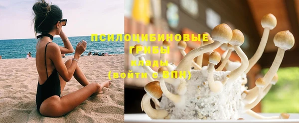 прущая мука Армянск