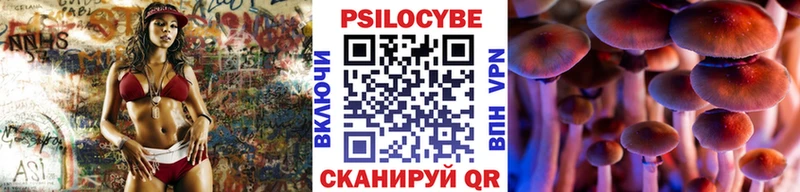 закладки  Кукмор  Галлюциногенные грибы Psilocybe 